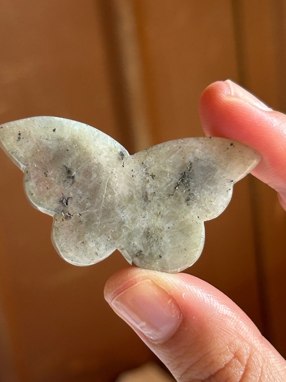 Energy Muse Labradorite Butterfly Crystal